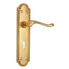 "Enosh" Brass Door Handle with Plate 